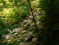 2013-07-20_Regina-F-Rau_Kochel-Rabenkopf (083).JPG